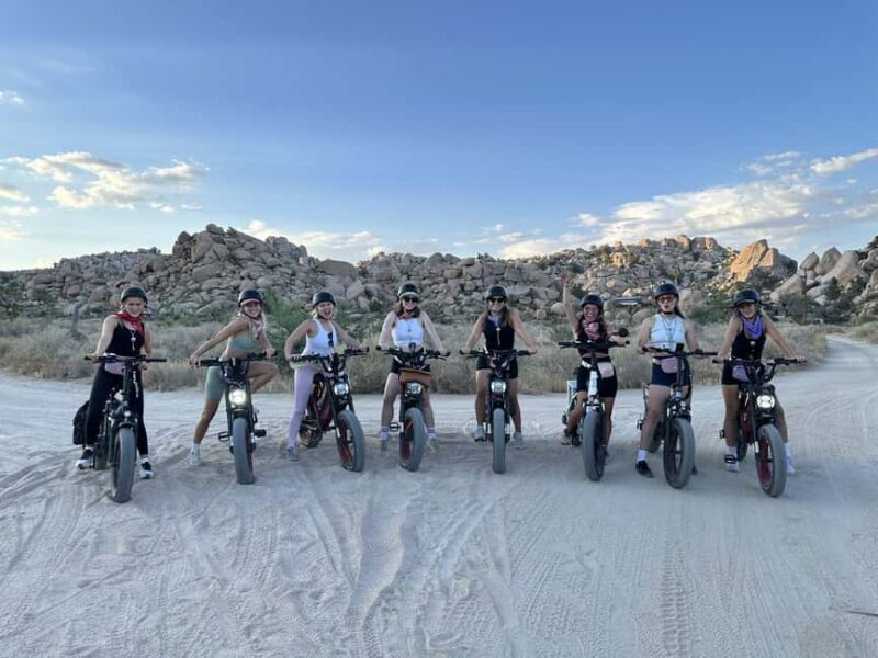 Joshua Tree National Park: E-Bike Rental - What to Expect During Your Ride