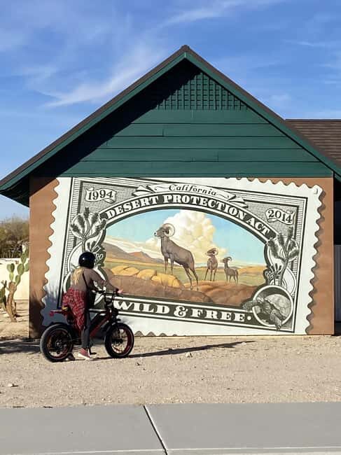 Joshua Tree National Park: E-Bike Rental - The Final Verdict: Who Is This Tour Perfect For?