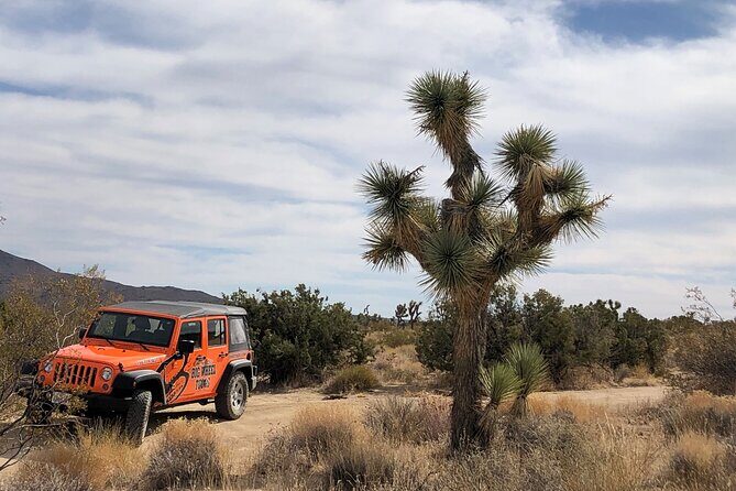 Joshua Tree National Park Offroad Tour - The Guides and Vehicle Experience