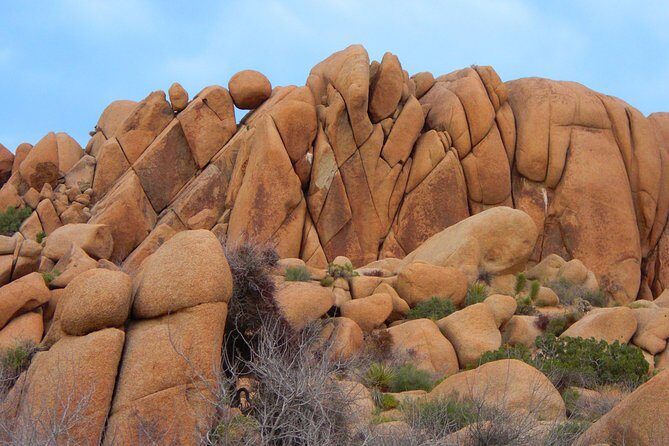 Joshua Tree National Park Scenic Tour - The Itinerary: A Breakdown of the Day