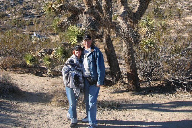 Joshua Tree National Park Scenic Tour - How Transportation Enhances the Experience
