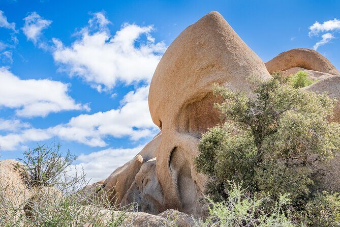 Joshua Tree National Park Self-Guided Audio Tour - The Sum Up