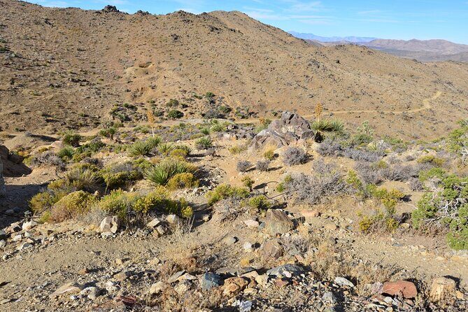 Joshua Tree National Park Self-Guided Driving Audio Tour - Final Thoughts