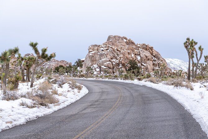 Joshua Tree National Park Self-Guided Driving Audio Tour - FAQ