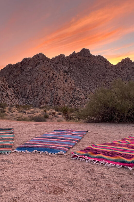Joshua Tree: Soundbath Under The Stars - Pricing and Value: Is It Worth It?