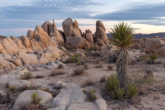 Joshua Tree's Hidden Valley Self-Guided Walking Tour - Practical Details