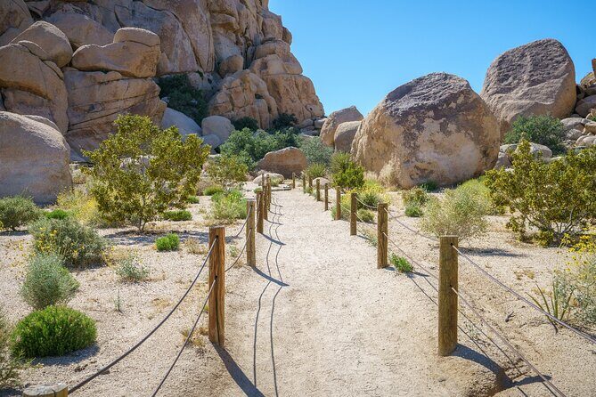 Joshua Tree's Hidden Valley Self-Guided Walking Tour - FAQ