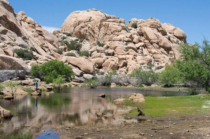 Journey into Joshua Tree Audio Tour and Locals Guide - Key Points