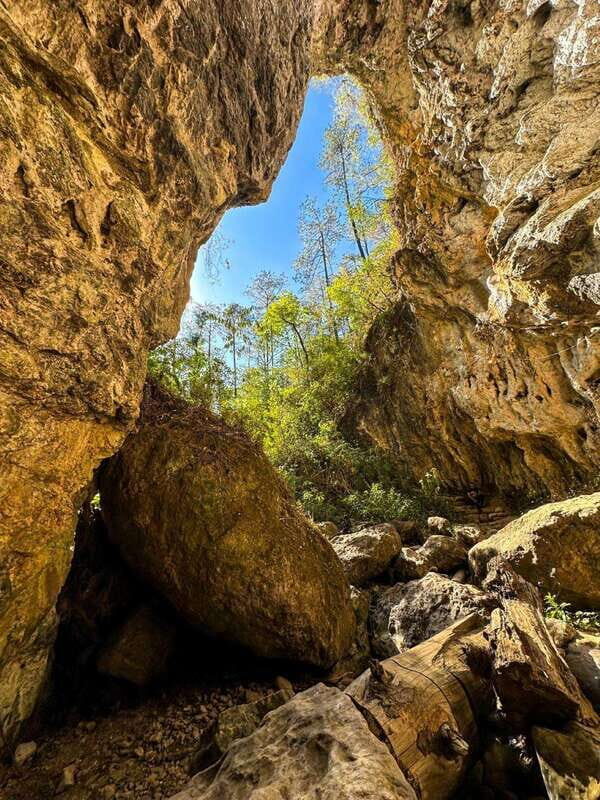 Juárez Highlands: Ecotourism and Workshop Experience - Final Thoughts