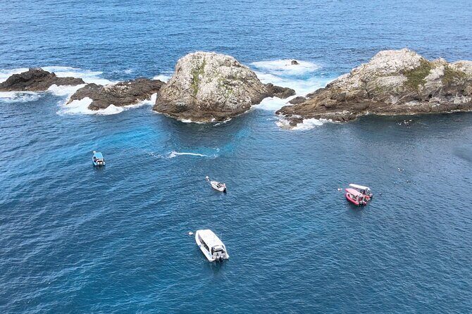 Julian Rocks: Premier Snorkeling Tour Byron Bay - Final Thoughts: Who Is This Tour Best For?