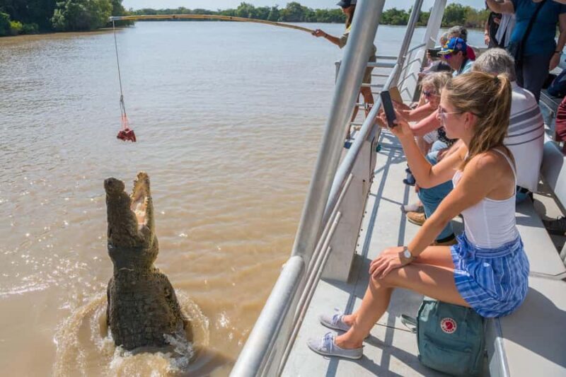 Jumping Crocodile Cruise from Darwin Half-Day Scenic Trip - Introduction to the Jumping Crocodile Cruise