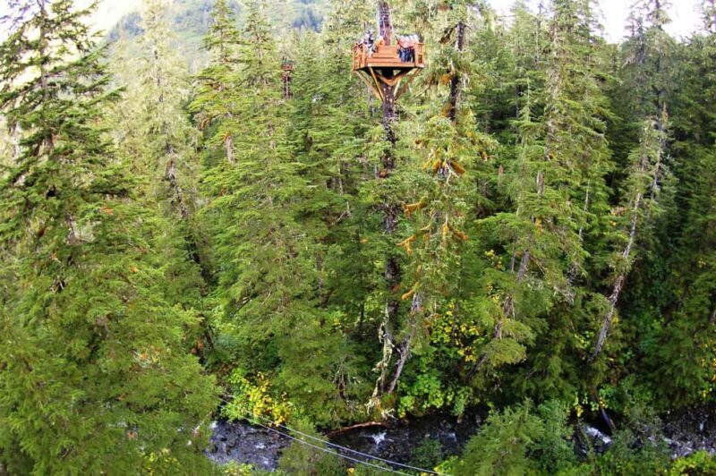 Juneau: Alpine Zipline Adventure - What Real Travelers Are Saying