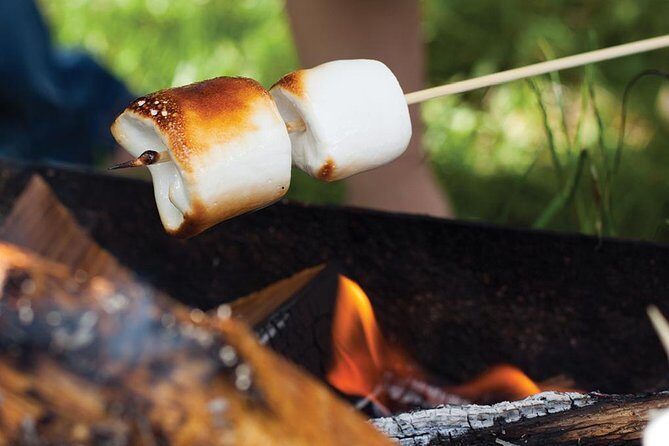 Juneau Gold Creek Salmon Bake - Final thoughts: who should consider this tour?