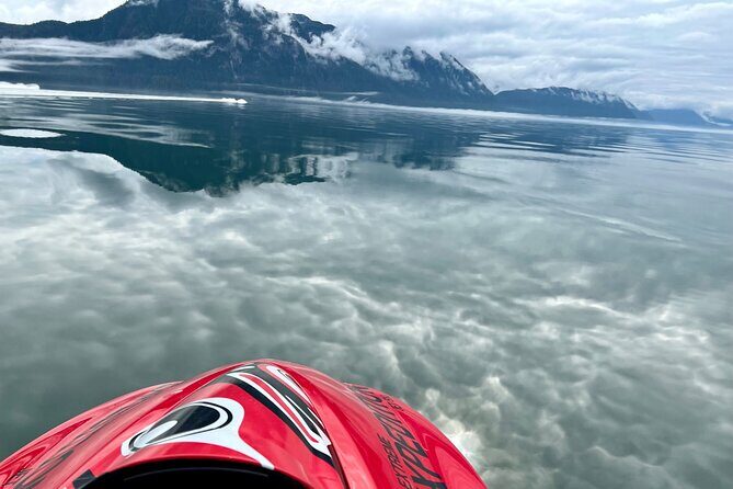 Juneau Jetski & Whale Adventure - Who Should Consider This Tour?