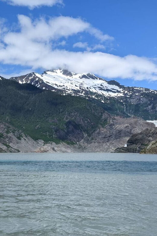 Juneau: Mendenhall Glacier Waterfall & Whale Watching Tour - Final Thoughts