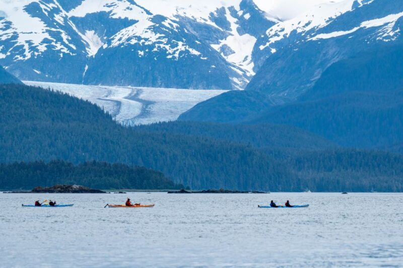 Juneau: Paddle with Whales Kayak Adventure - Key Points