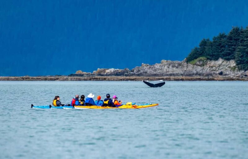 Juneau: Paddle with Whales Kayak Adventure - Landing on the Remote Island