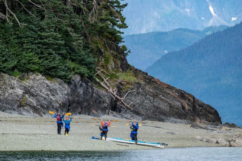 Juneau: Paddle with Whales Kayak Adventure - A Snack Break and More Exploration