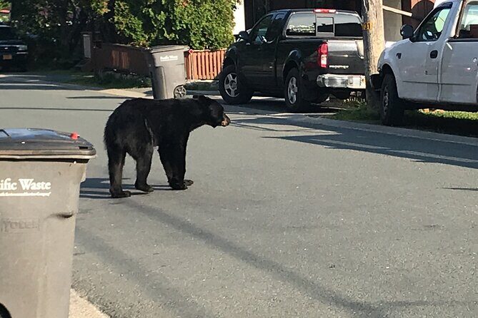 Juneau Private 3 Hour Scenic Road Trip - FAQs