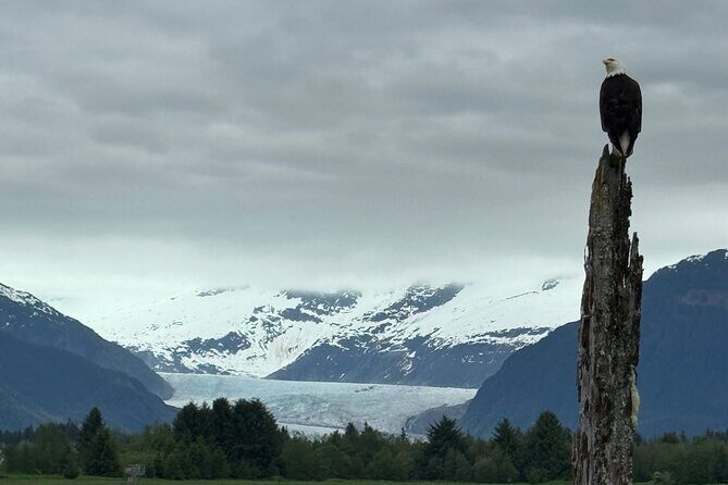 Juneau Private 3 Hour Sightseeing Tour with a Local - What to Expect from the Tour