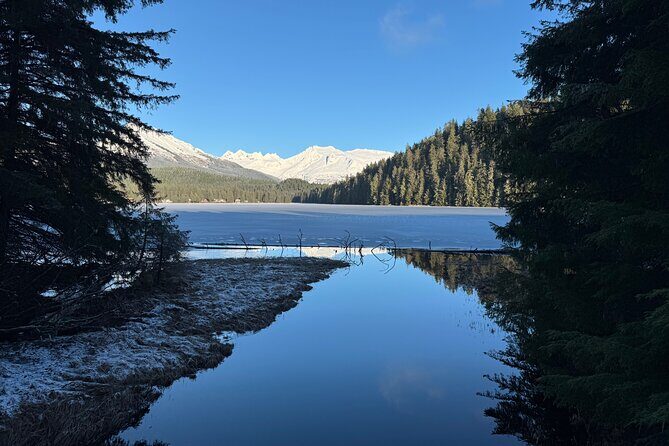 Juneau Private 3 Hour Sightseeing Tour with a Local - What the Experience Includes