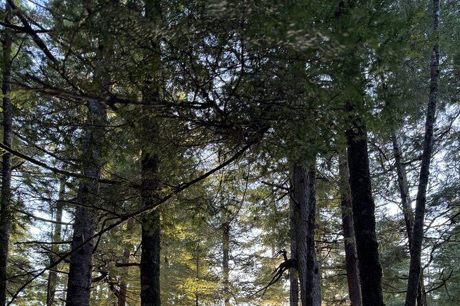 Juneau Private 3 Hour Sightseeing Tour with a Local - Practical Considerations