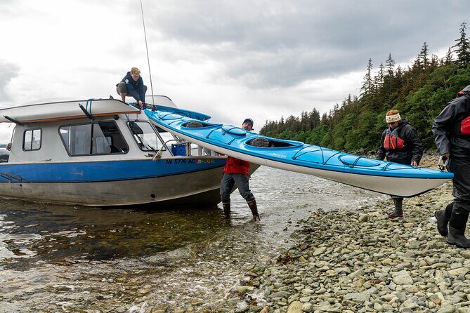 Juneau Shore Excursion: Paddle with Whales Kayak Adventure - A Closer Look at the Itinerary