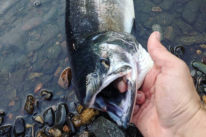 Juneau Shore Fishing Shuttle and Gear - What is the Juneau Shore Fishing Shuttle?