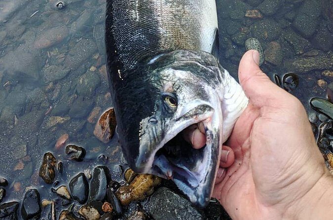 Juneau Shore Fishing Shuttle and Gear - FAQs