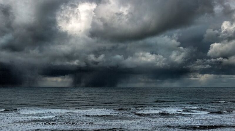 Juneau: Whale Watching and Mendenhall Glacier Day Trip - Final Thoughts: Who Is This Tour Best For?