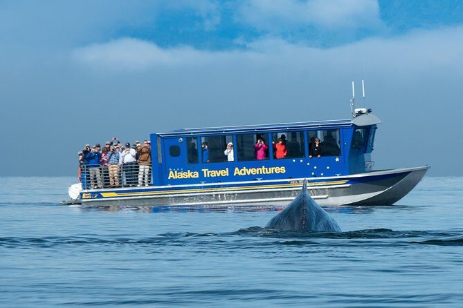 Juneau Whale Watching and Salmon Bake - What to Expect from the Tour
