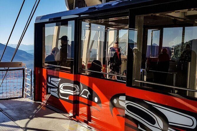 Juneau Wildlife Whale Watching - Juneau Wildlife Whale Watching: An Honest Look