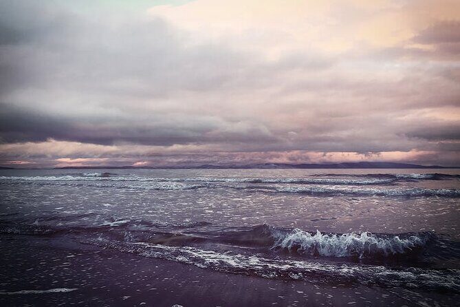 Juneau Wildlife Whale Watching - In-Depth: What to Expect