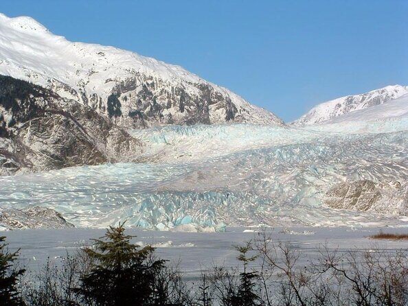 Juneau Wildlife Whale Watching & Mendenhall Glacier - Who Is This Tour Best For?
