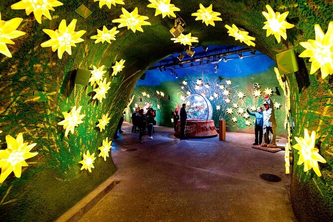 Jungfrau, Top of Europe & Interlaken Small group from Zurich - Who Should Consider This Tour?