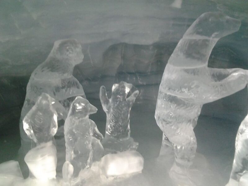 Jungfraujoch Top of Europe Private Day Trip from Basel - What’s Not Included