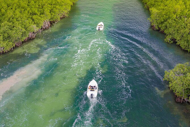 Jungle Adventure Tour! Speed boat and Snorkeling (Single) - What the Tour Offers: A Closer Look