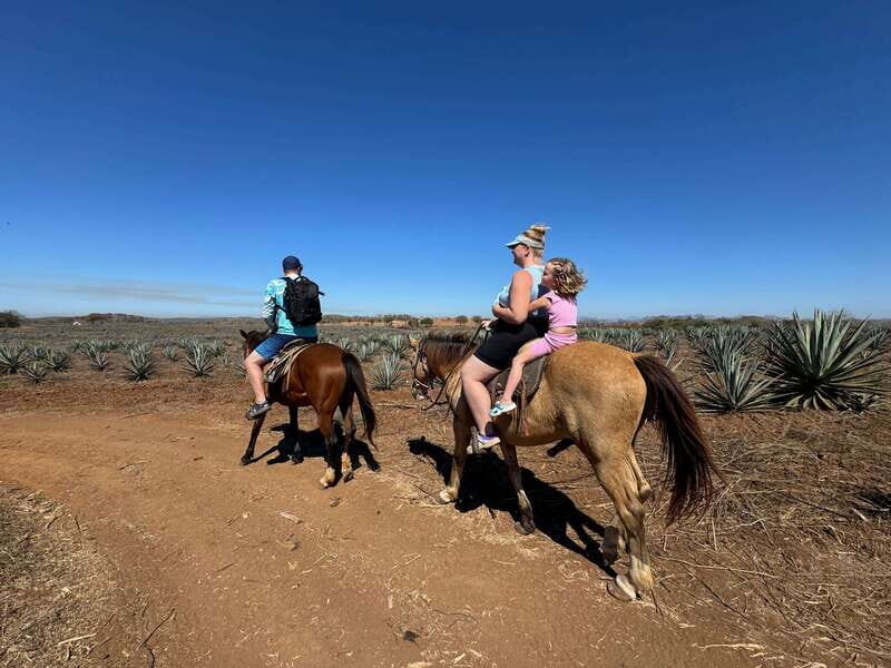 Jungle and beach horseback ride + lunch + mezcal - The Experience in Detail