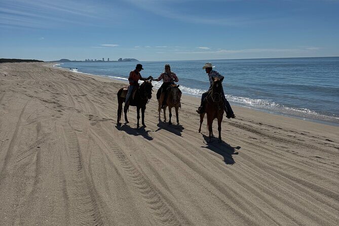 Jungle and Beach Horseback ride Tour in Pacific Coast - Key Points