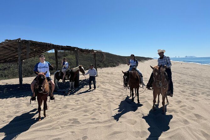 Jungle and Beach Horseback ride Tour in Pacific Coast - Who Would Love This Experience?