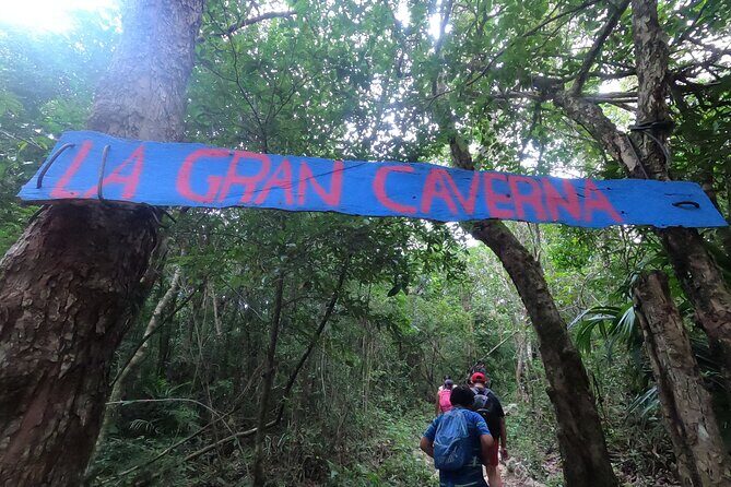 Jungle ATV Adventure: Unveiling Akumal's Enchanting Cenotes - Who Is This Tour Best For?