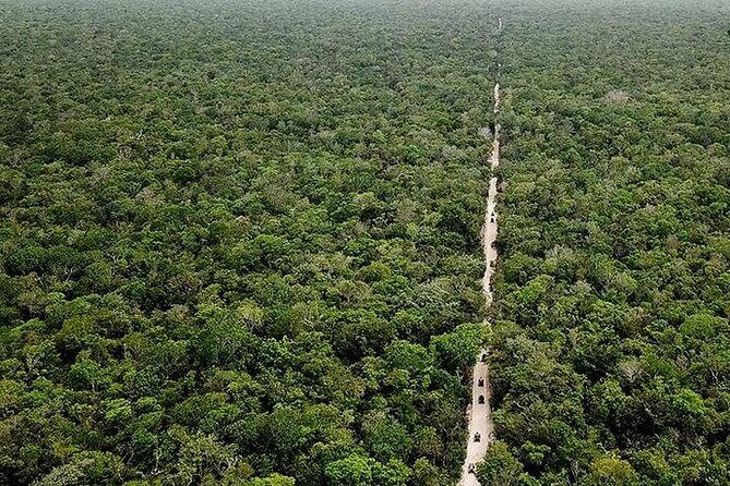 Jungle ATV, Cenote and Snorkel with Sea Turtles Adventure - What Travelers Are Saying