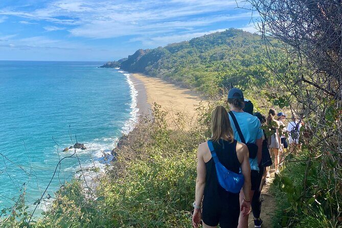 Jungle & Beach: Hidden treasures between the Jungle and the Coast - Exploring Sayulita’s Jungle & Beaches: A Close-Up Look at a Nature-Filled Adventure