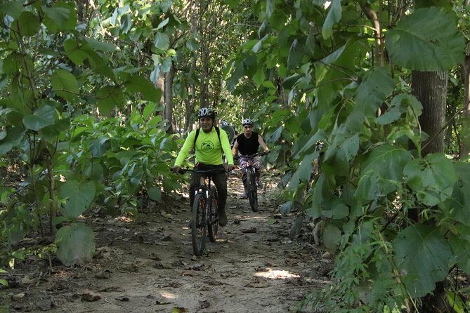 Jungle Bike Tour - What to Expect from the Jungle Bike Tour