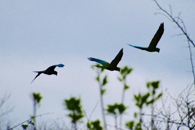 Jungle Bike Tour - FAQ