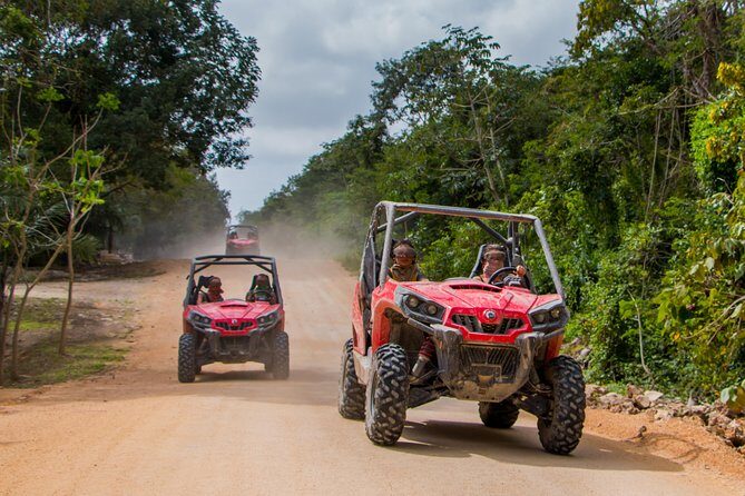 Jungle Buggy Tour from Playa del Carmen Including Cenote Swim - What the Experience Looks Like