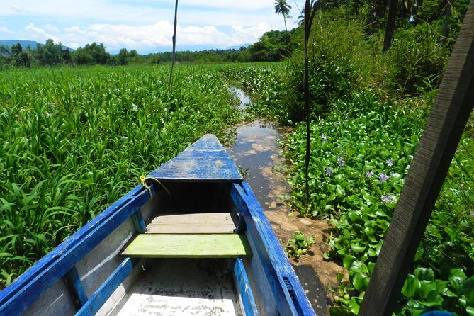 Jungle Coyuca Lagoon Boat Ride Experience & Baby Turtle Release - Discovering Coyuca Lagoon and its Surroundings