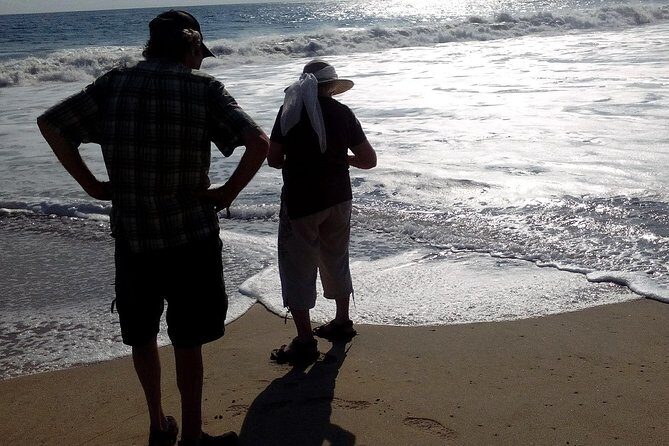 Jungle Coyuca Lagoon Boat Ride Experience & Baby Turtle Release - Practical Details