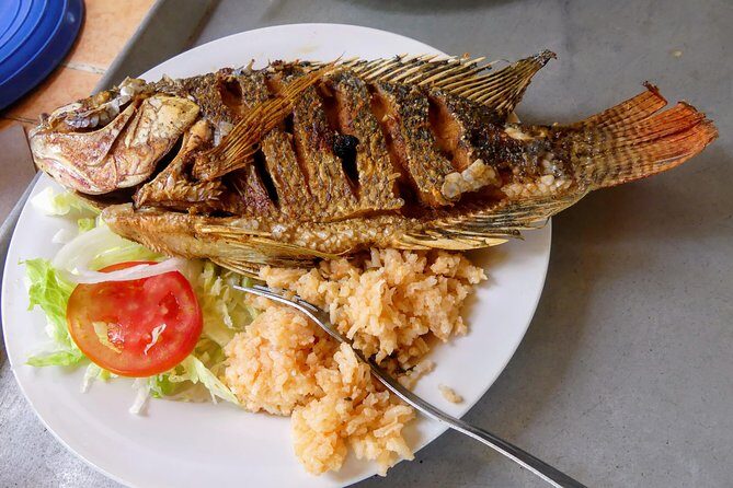 Jungle Coyuca Lagoon Boat Ride Experience & Baby Turtle Release - Who Should Consider This Tour?