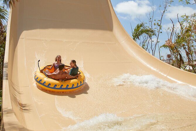 Jungle - Meta Description